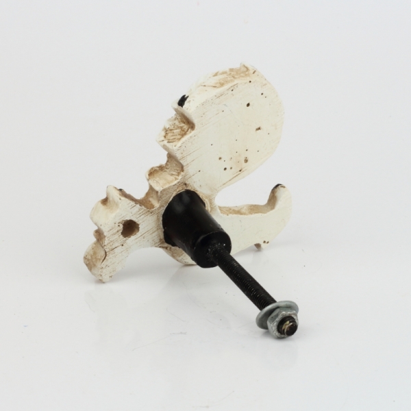 Nábytková úchytka bílý kohout v oprýskaném vzhledu 6x6cm