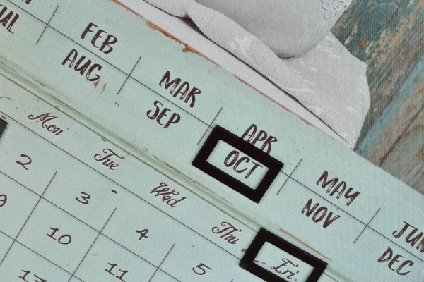 Nástěnný kalendář s magnety 30 x 50 x 1,8 cm růžové tulipány na mentolové