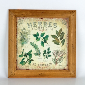 Obraz Herbes Aromatiques 38x37cm
