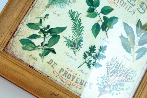 Obraz Herbes Aromatiques 38x37cm