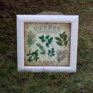Obraz Herbes Aromatiques bílý rám 38x37cm 