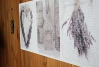 Obraz na plátně Levandule 90cm