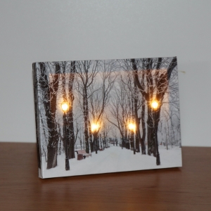 Obraz na plátně s LED osvětlením 20x15cm