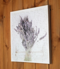 Obraz na plátně svazek levandule 28x28cm.