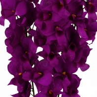 Orchidea bordó 54cm