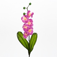 Orchidej 73cm Lila