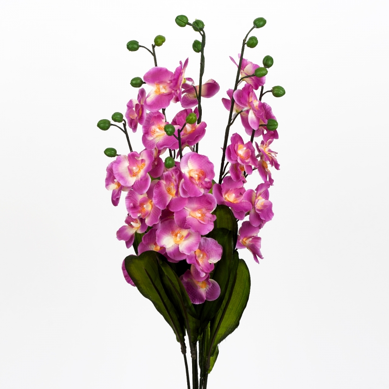 Orchidej 73cm Lila
