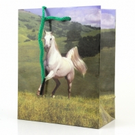 Papírová taška -  6x12x14cm