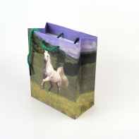 Papírová taška -  6x12x14cm