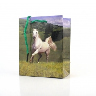 Papírová taška -  6x12x14cm