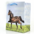 Papírová taška na dárek 6x12x14cm koník