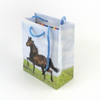Papírová taška na dárek 6x12x14cm koník