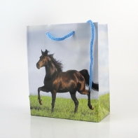 Papírová taška na dárek 6x12x14cm koník