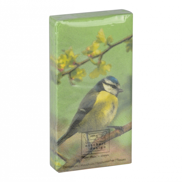 Papírové kapesníky s venkovským motivem vzor sýkorka