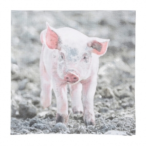 Papírové ubrousky s motivem 16,5x16,5cm 