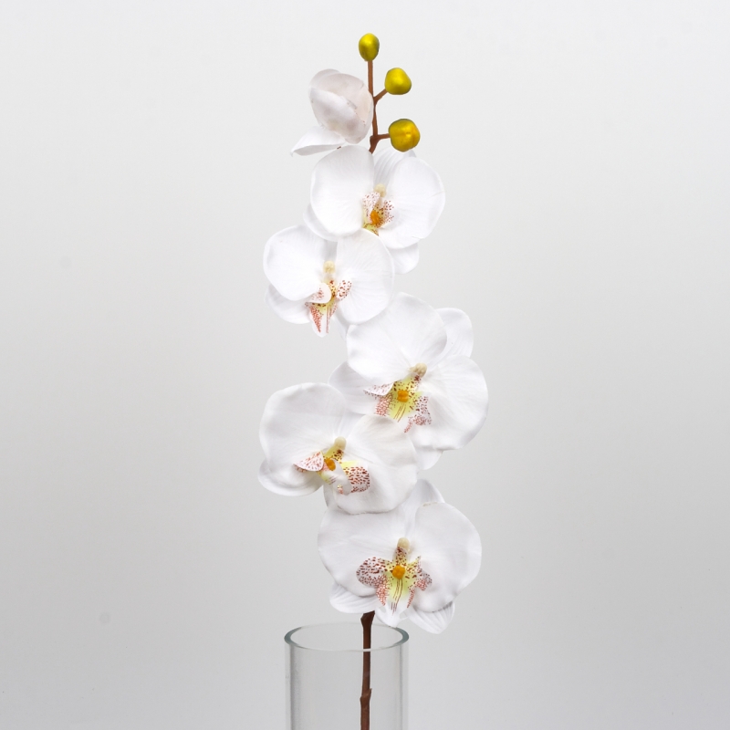 Phalenopsis 72cm bílá