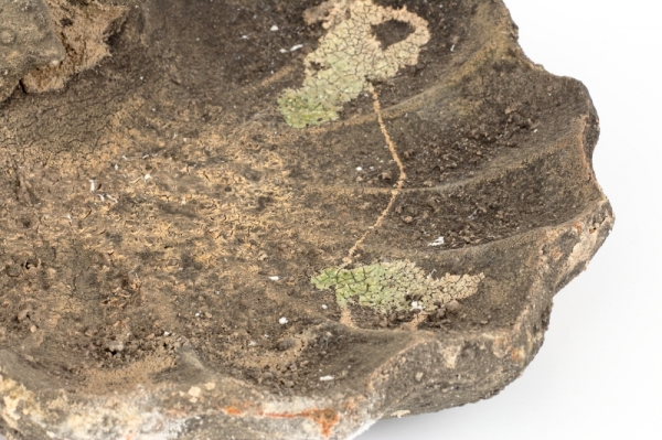 Pítko pro ptáčky mechový povrch 29,0x27,5x9,8 cm