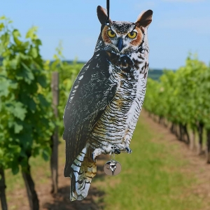 Plašič ptáků sova