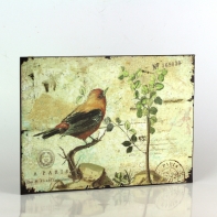 Plechová cedule červený ptáček 19x27cm