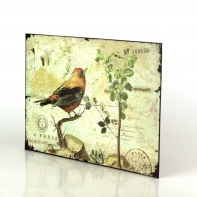 Plechová cedule červený ptáček 19x27cm