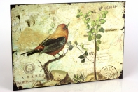 Plechová cedule červený ptáček 19x27cm