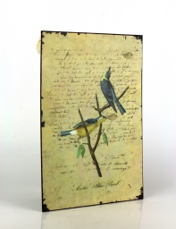 Plechová cedule dva modří ptáčci 19x27cm