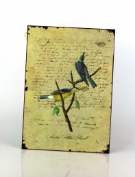 Plechová cedule dva modří ptáčci 19x27cm