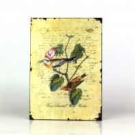 Plechová cedule dva žlutí ptáčci 19x27cm