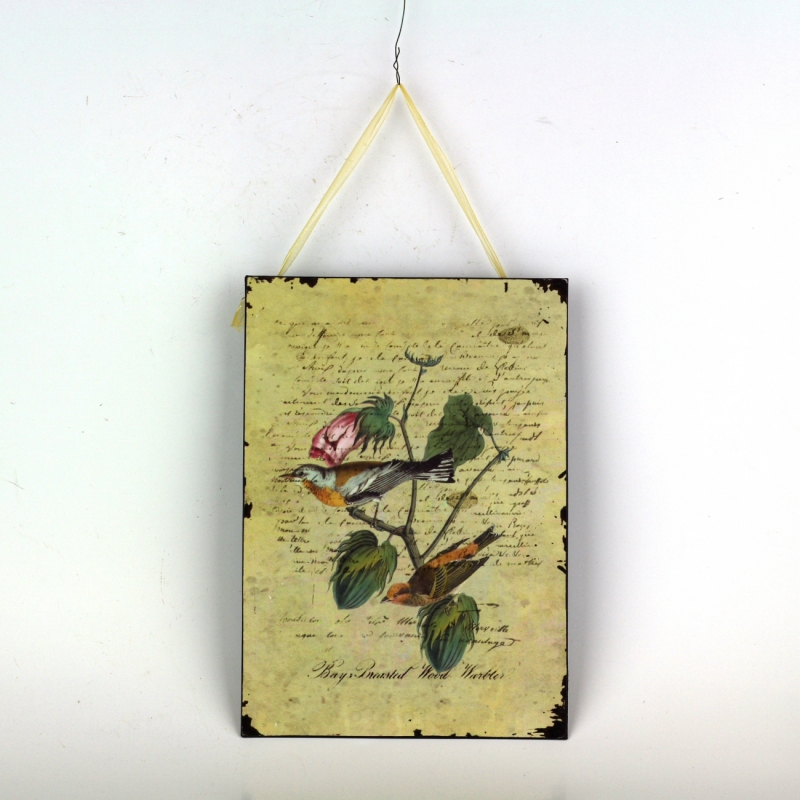 Plechová cedule dva žlutí ptáčci 19x27cm