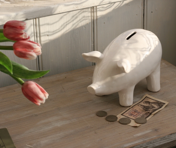 Pokladnička prasátko 26x12x9cm