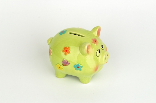 Pokladnička prase velké