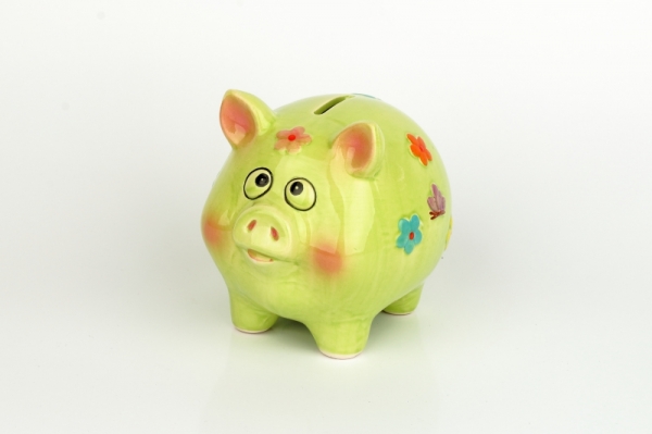 Pokladnička prase velké