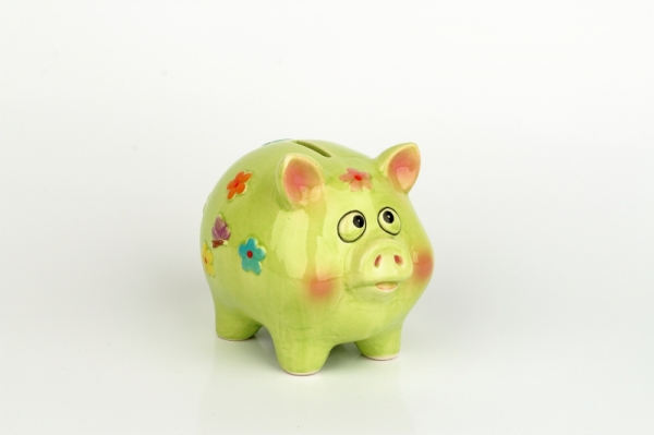 Pokladnička prase velké