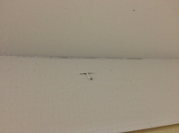 Polička - vyřazeno do výprodeje