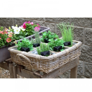 Proutěný truhlík na bylinky s 6 přihrádkami