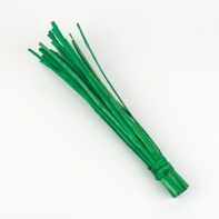 Proutí willow zelená 30cm