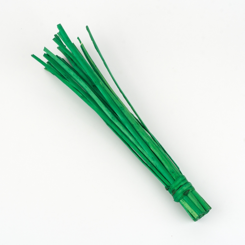 Proutí willow zelená 30cm