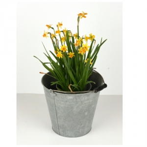 Retro kyblík zinek 25cm