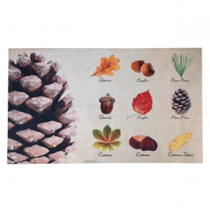 Rohožka 74 x 45,4 x 0,2 cm listy a plody