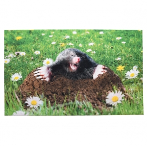 Rohožka 75 x 45,4 cm s krtkem