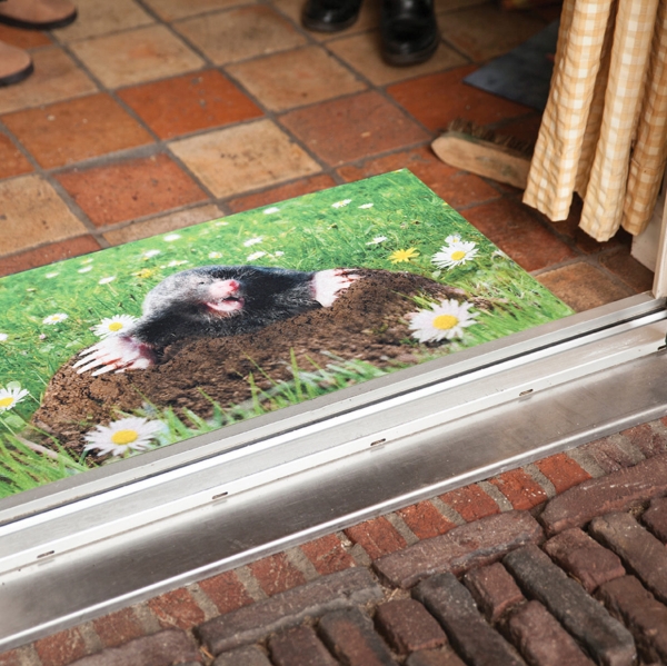 Rohožka 75 x 45,4 cm s krtkem