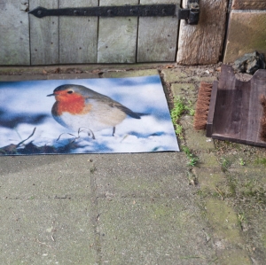 Rohožka 76 x 45 cm s ptáčkem