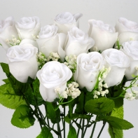 Růže bílá 50cm