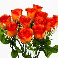 Růže oranžovo-červená 50cm
