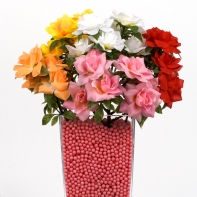 Růže šípková rozvitá růžová svazek