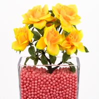 Růže šípková rozvitá žlutá svazek