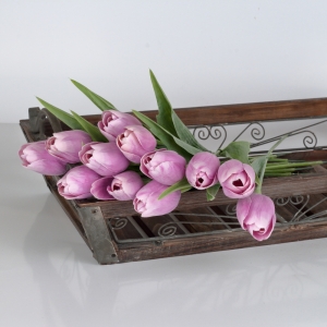 Růžovo-fialový tulipán