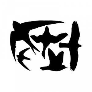 Samolepky na sklo proti ptákům