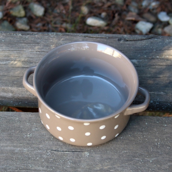 Servírovací miska s uchy 560ml