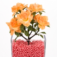 Šípková růže rozvitá oranžová svazek